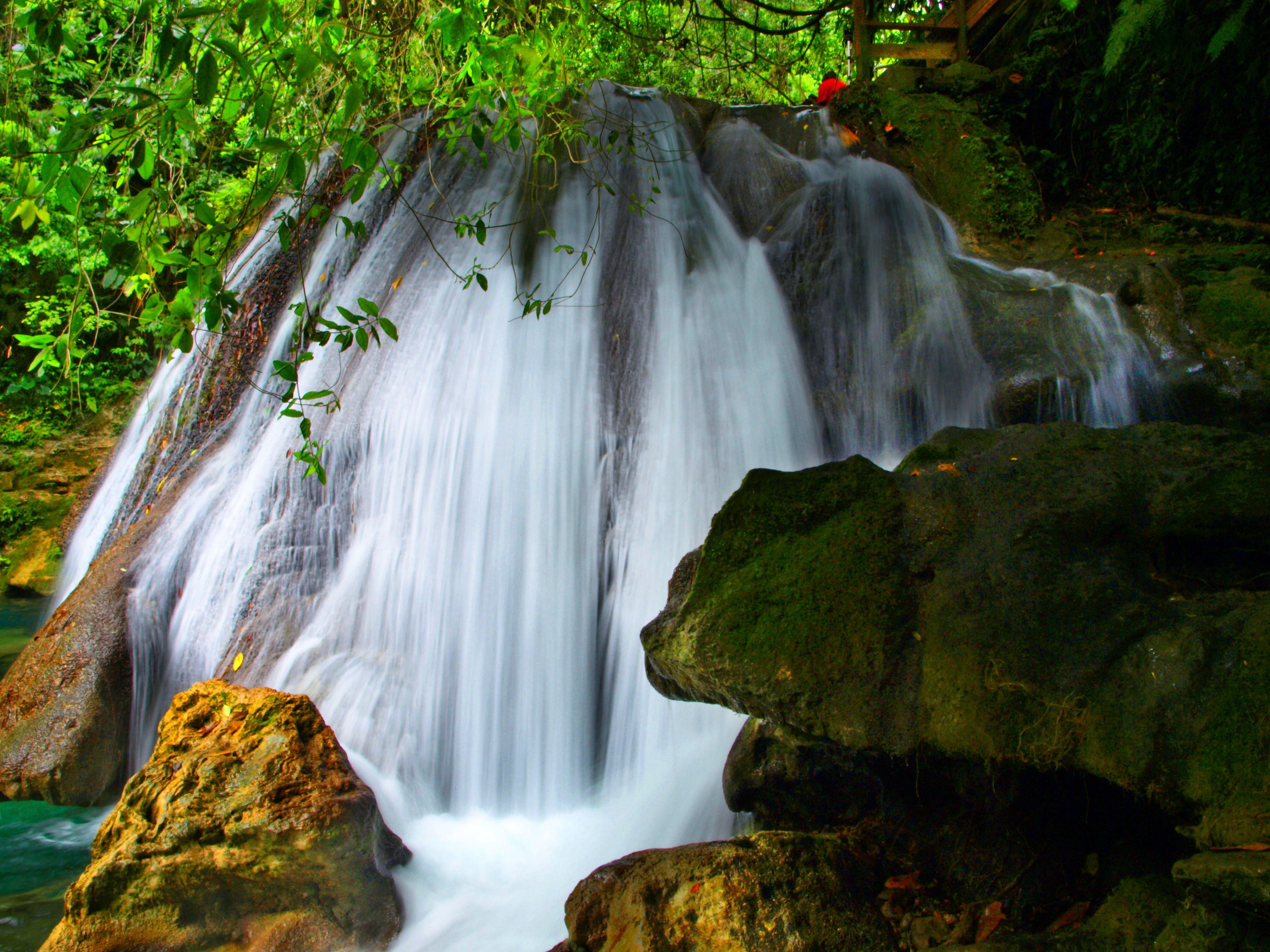 Les chutes de Reach : un joyau naturel de la Jamaïque