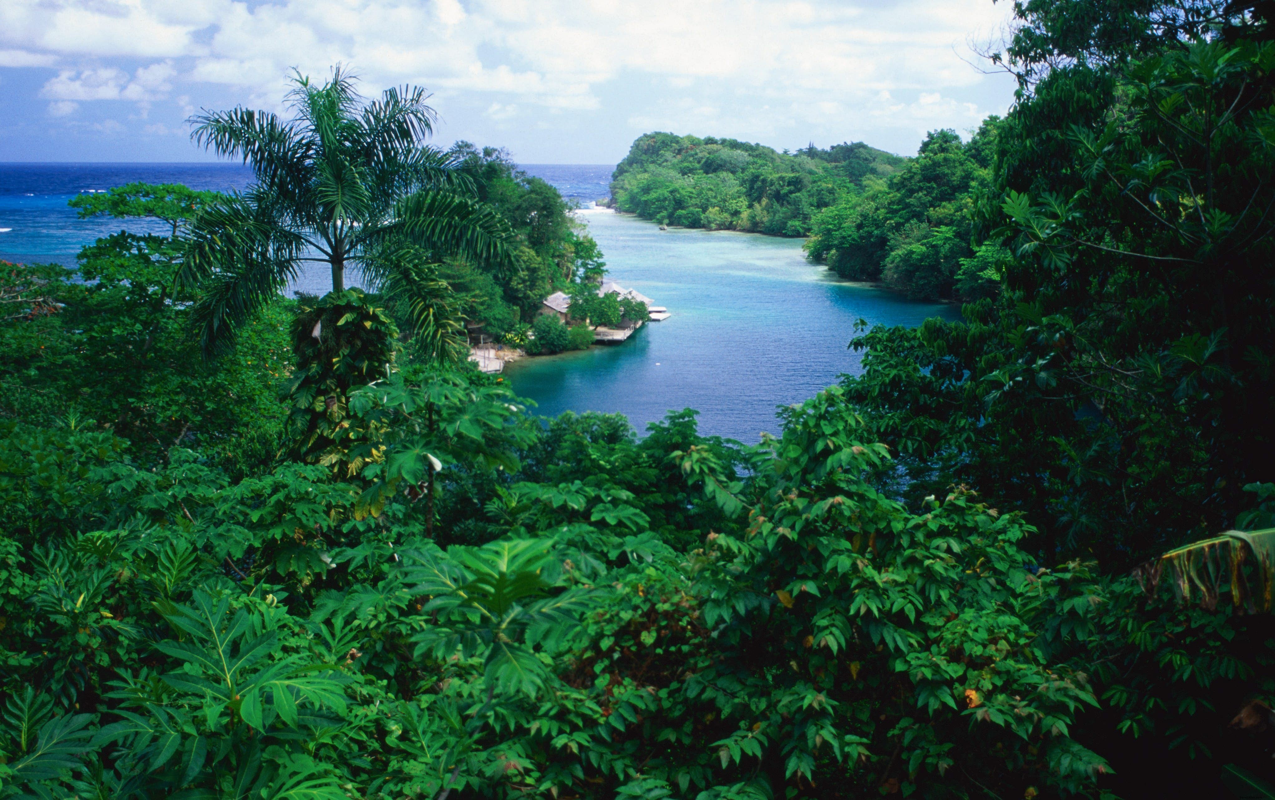 Le Lagon Bleu de la Jamaïque
