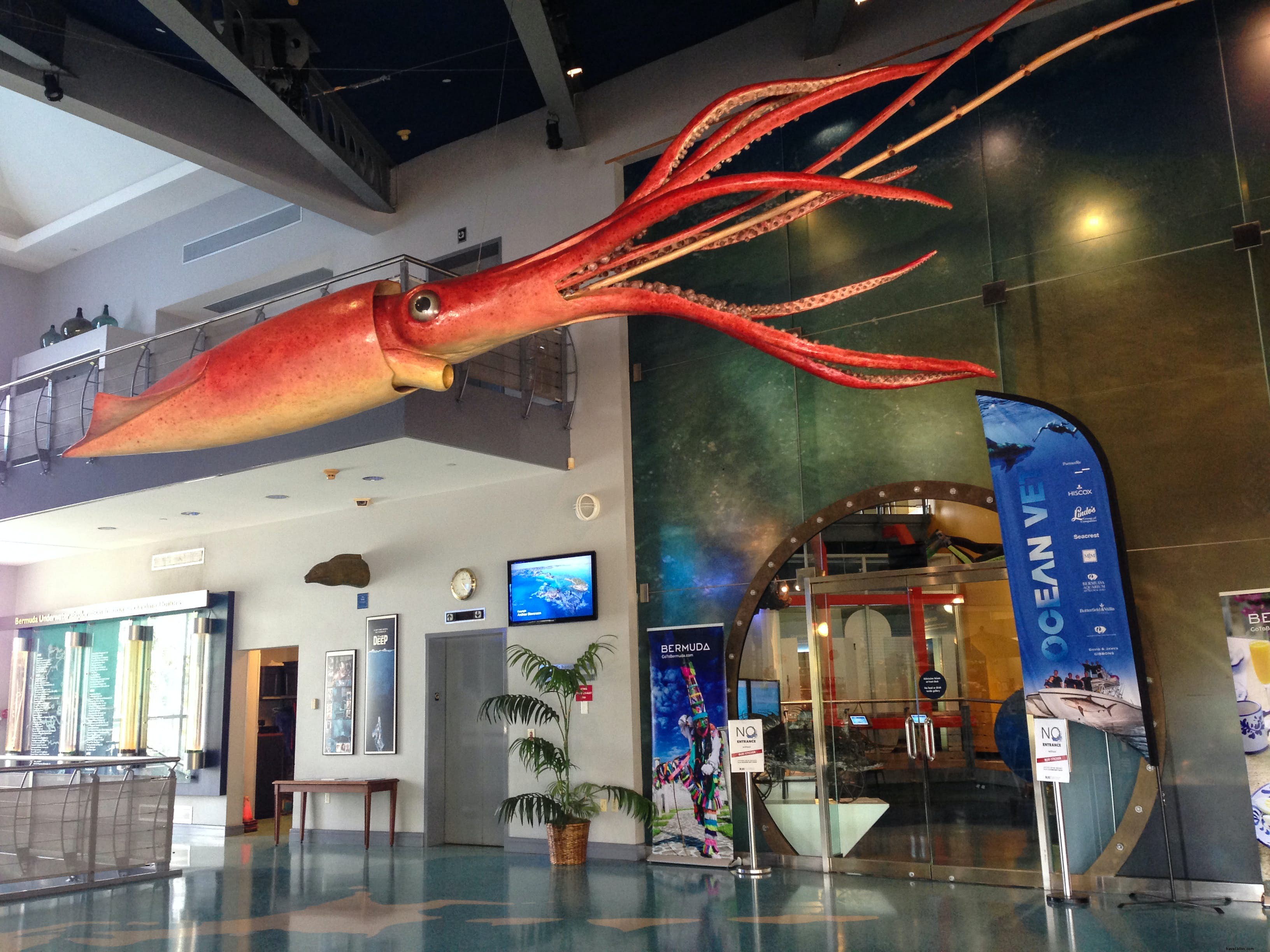 Institut d exploration sous-marine des Bermudes (BUEI)