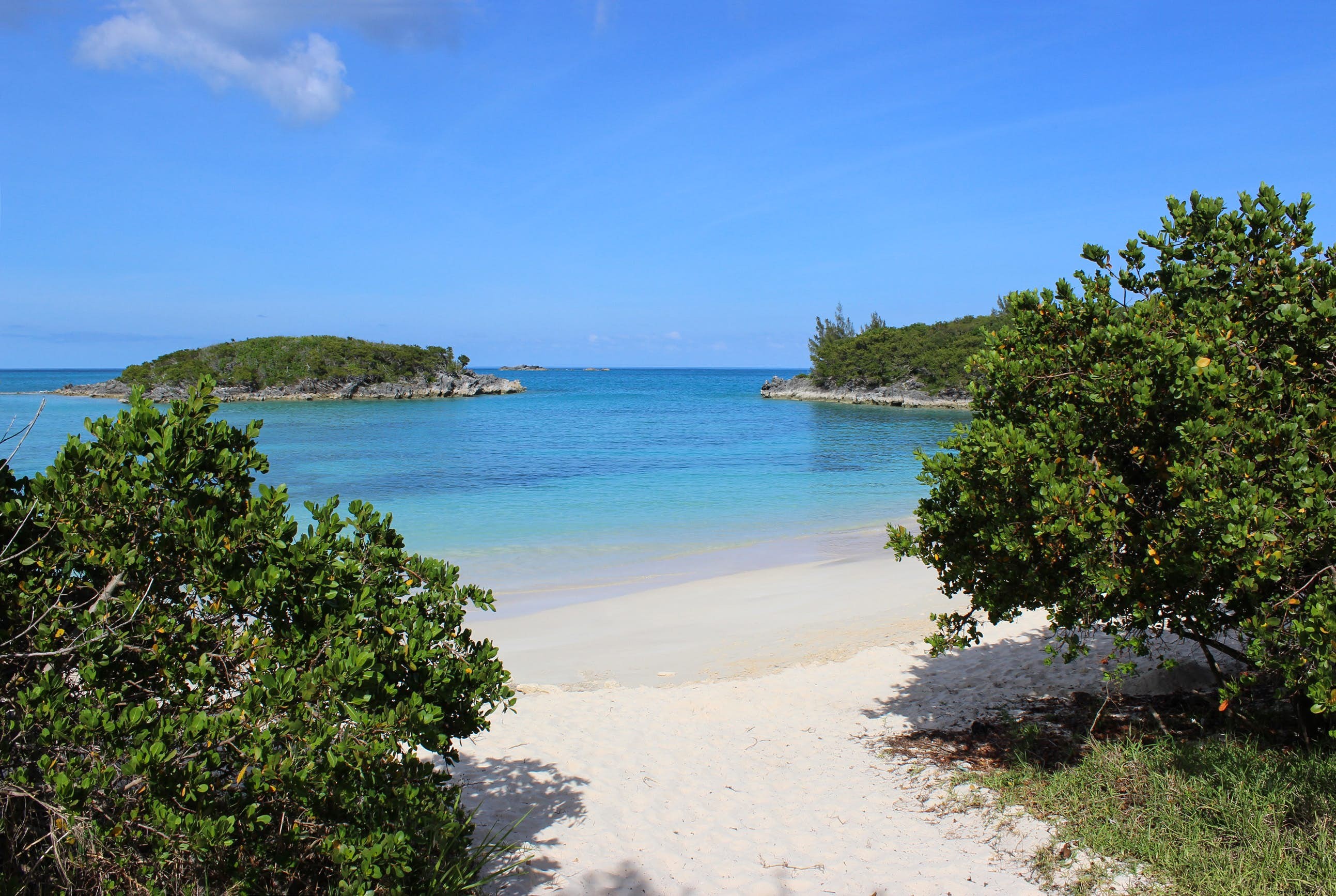 Réserve naturelle de l île Cooper, Bermudes