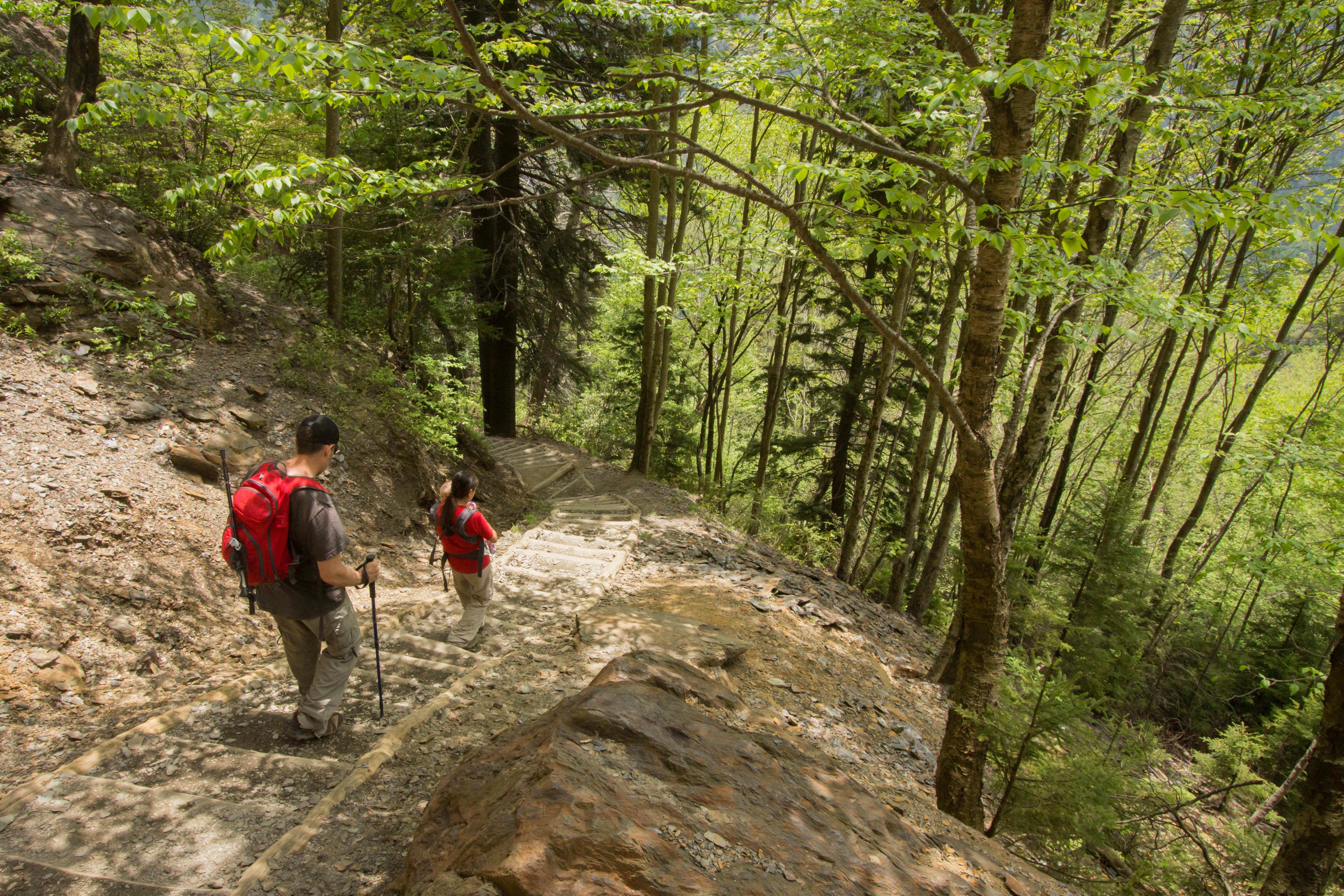 Parc national des Great Smoky Mountains
