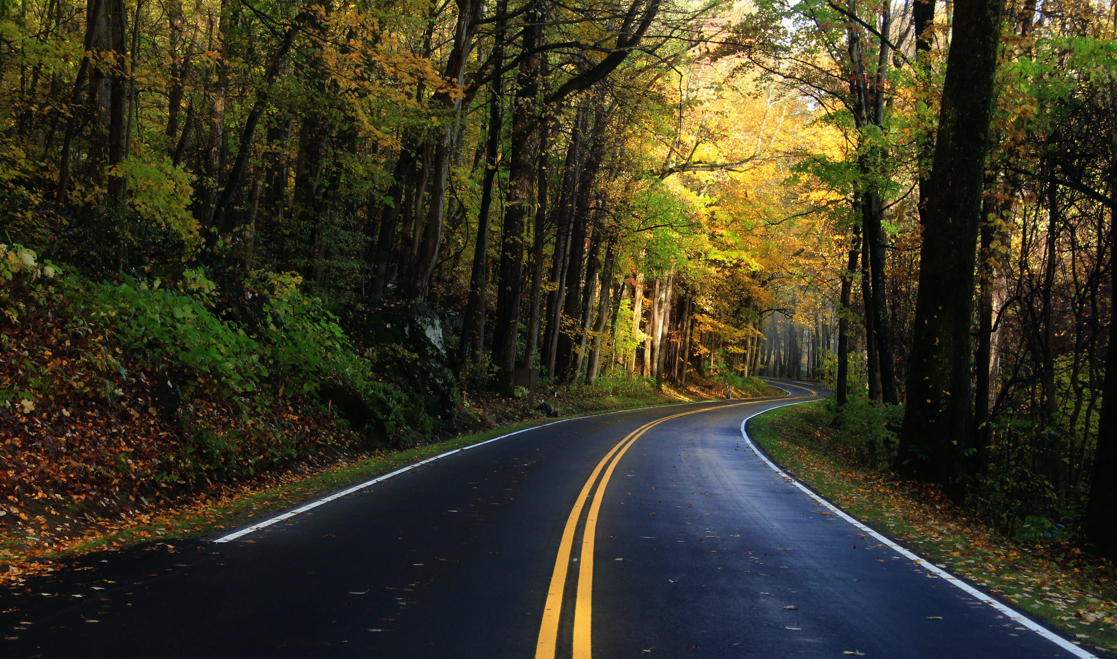 Parc national des Great Smoky Mountains