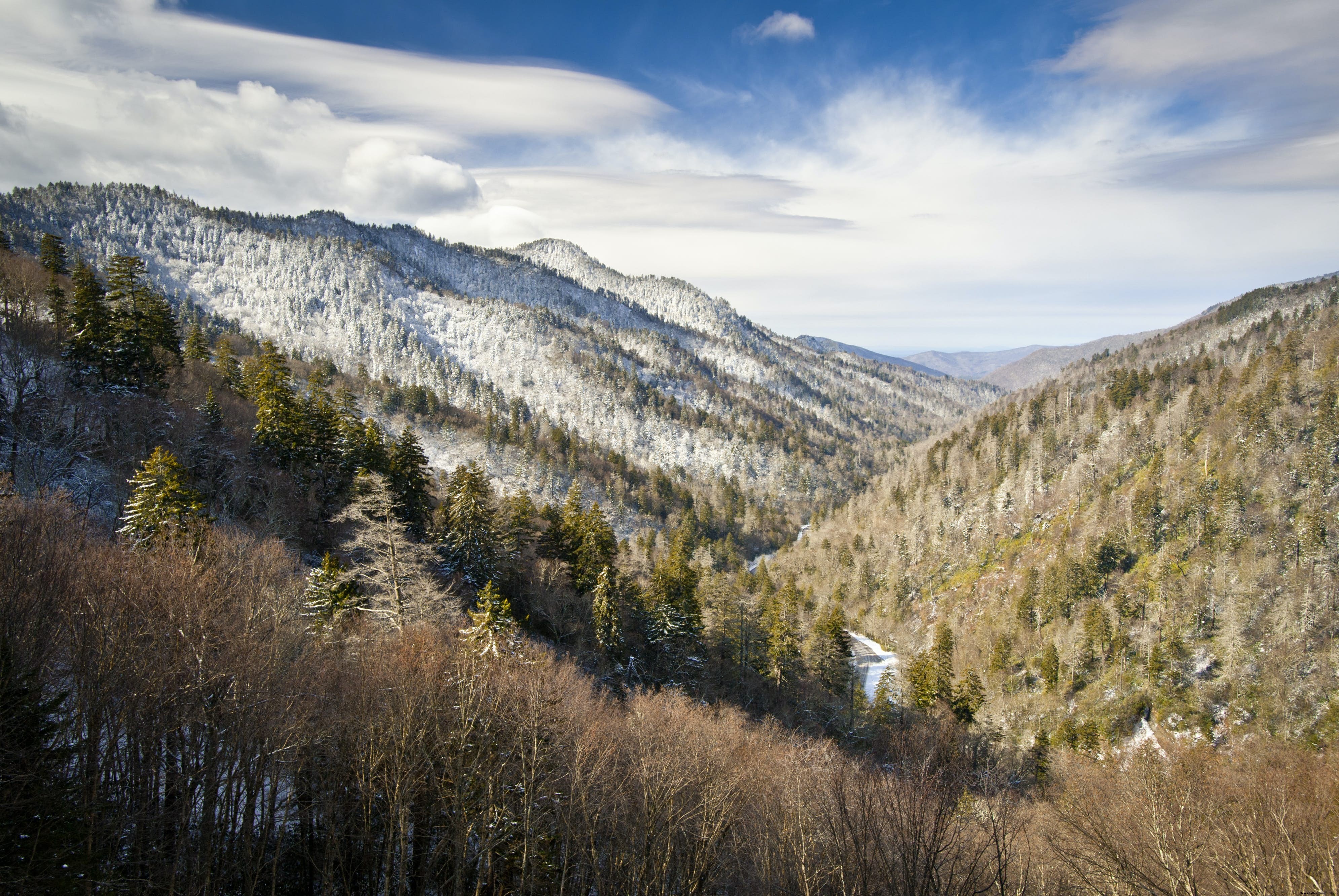 Parc national des Great Smoky Mountains