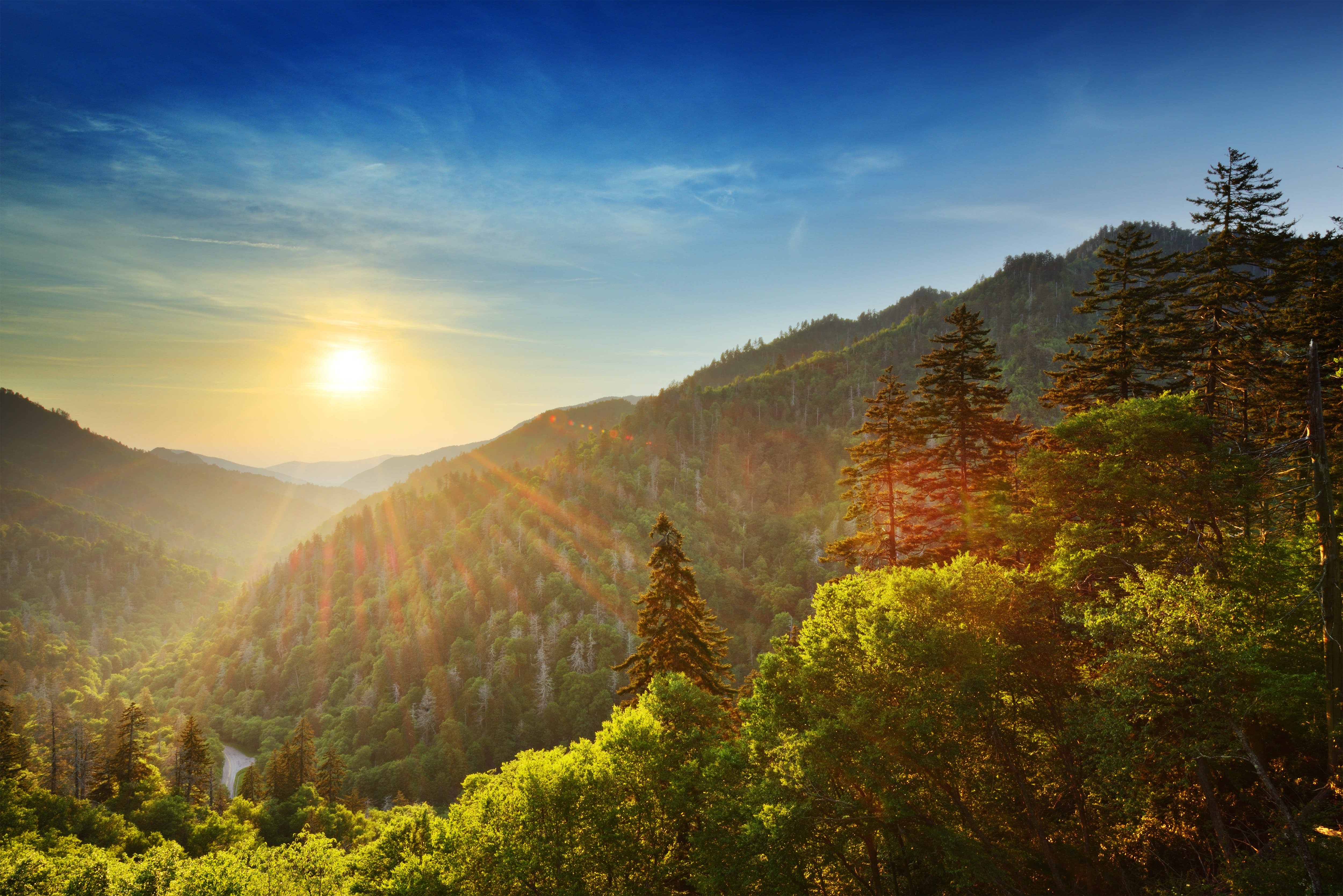 Parc national des Great Smoky Mountains
