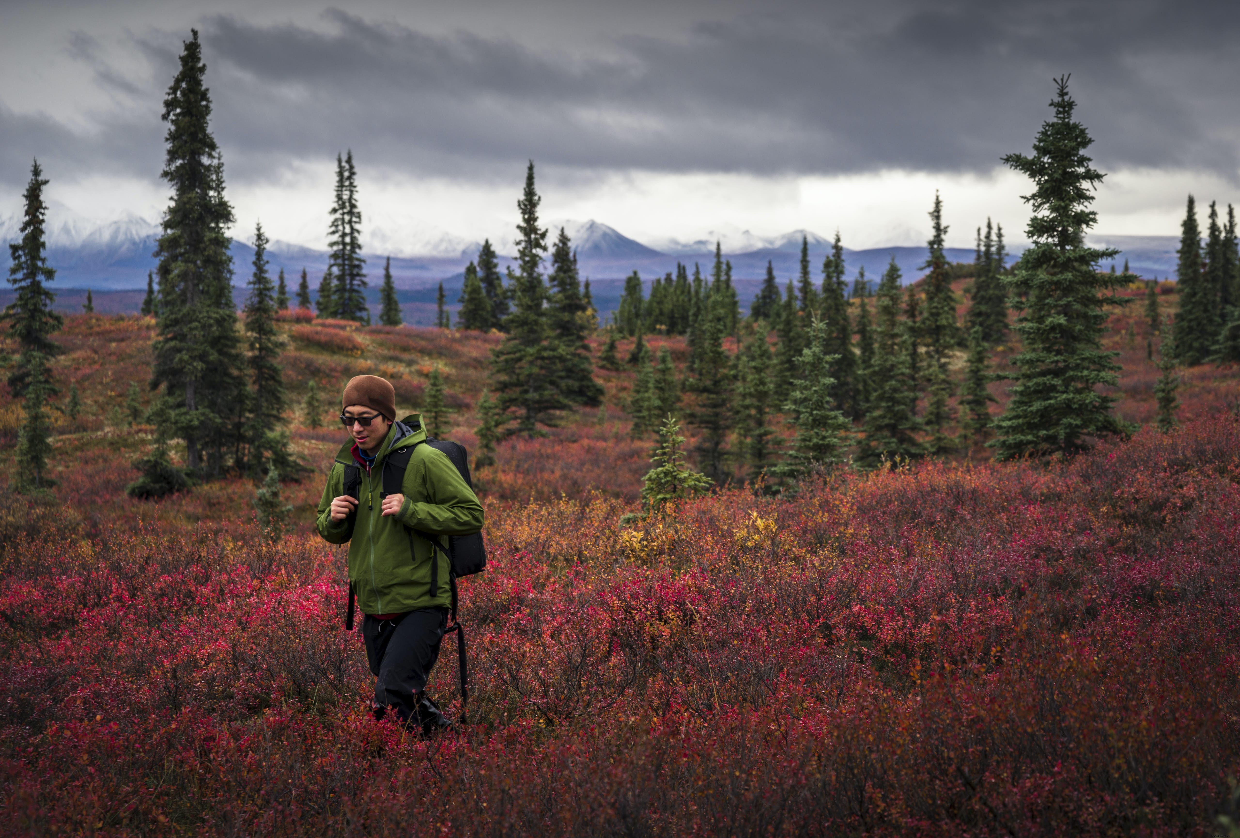 Parc national et réserve de Denali, Alaska
