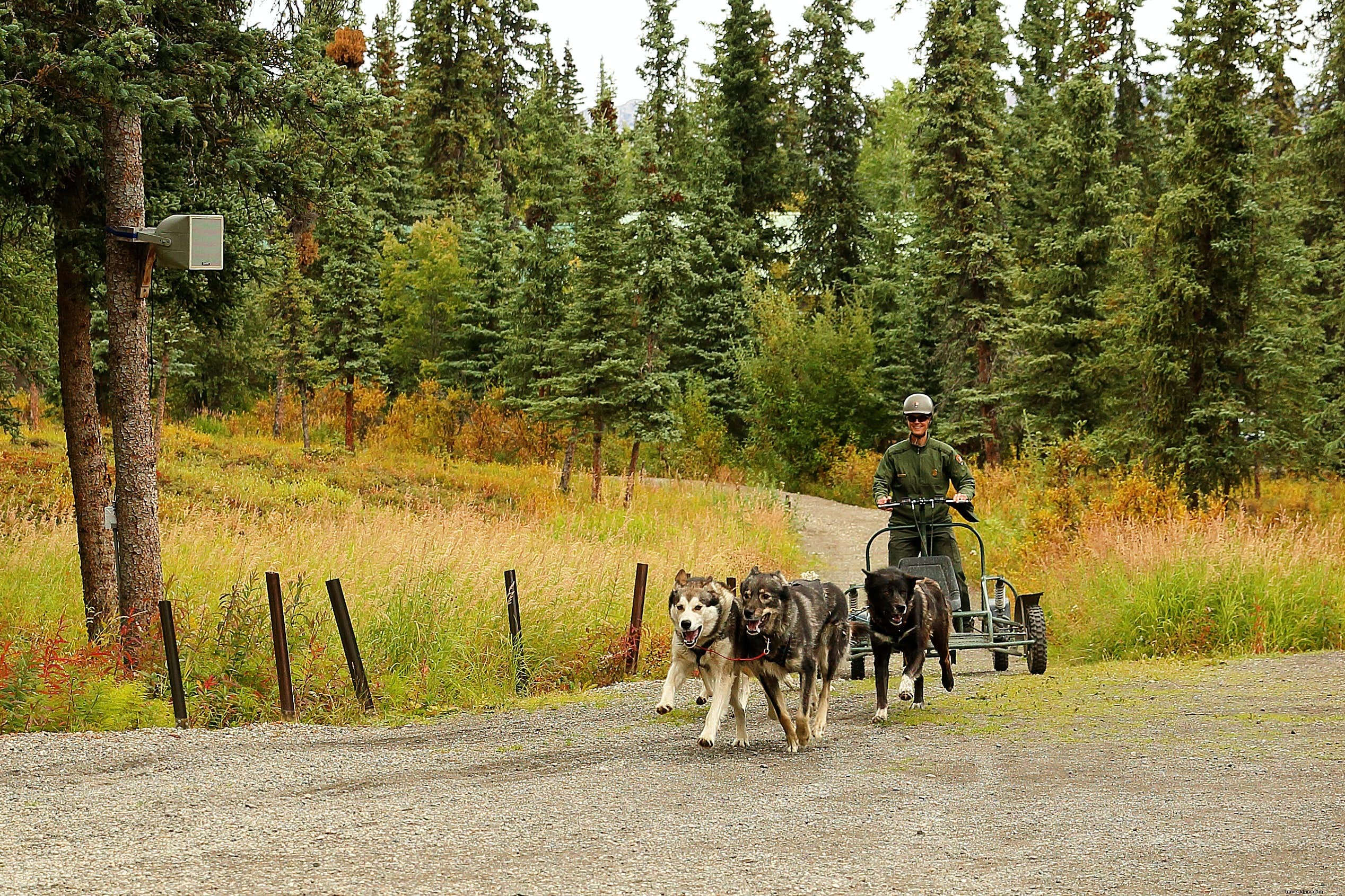 Parc national et réserve de Denali, Alaska