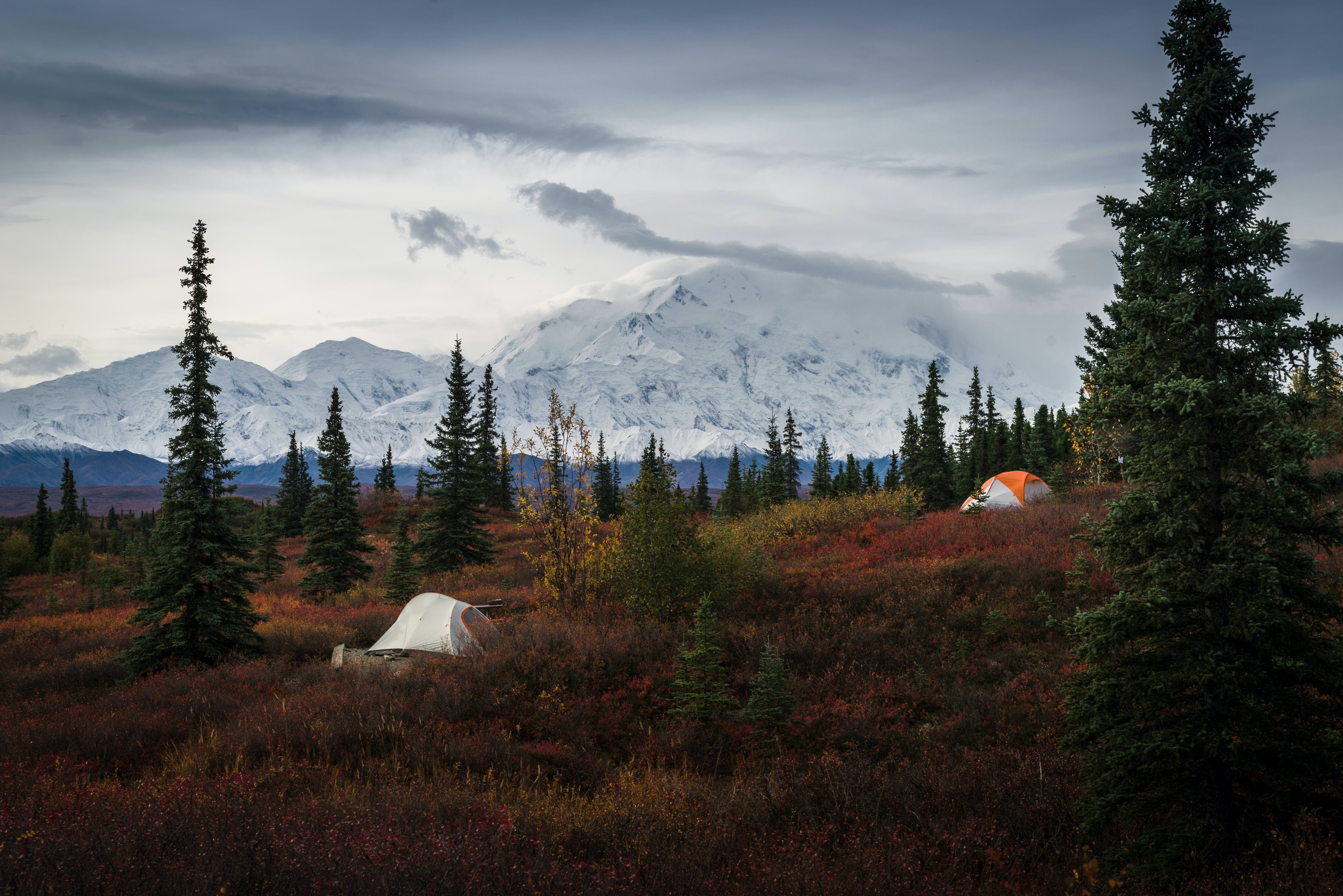 Parc national et réserve de Denali, Alaska