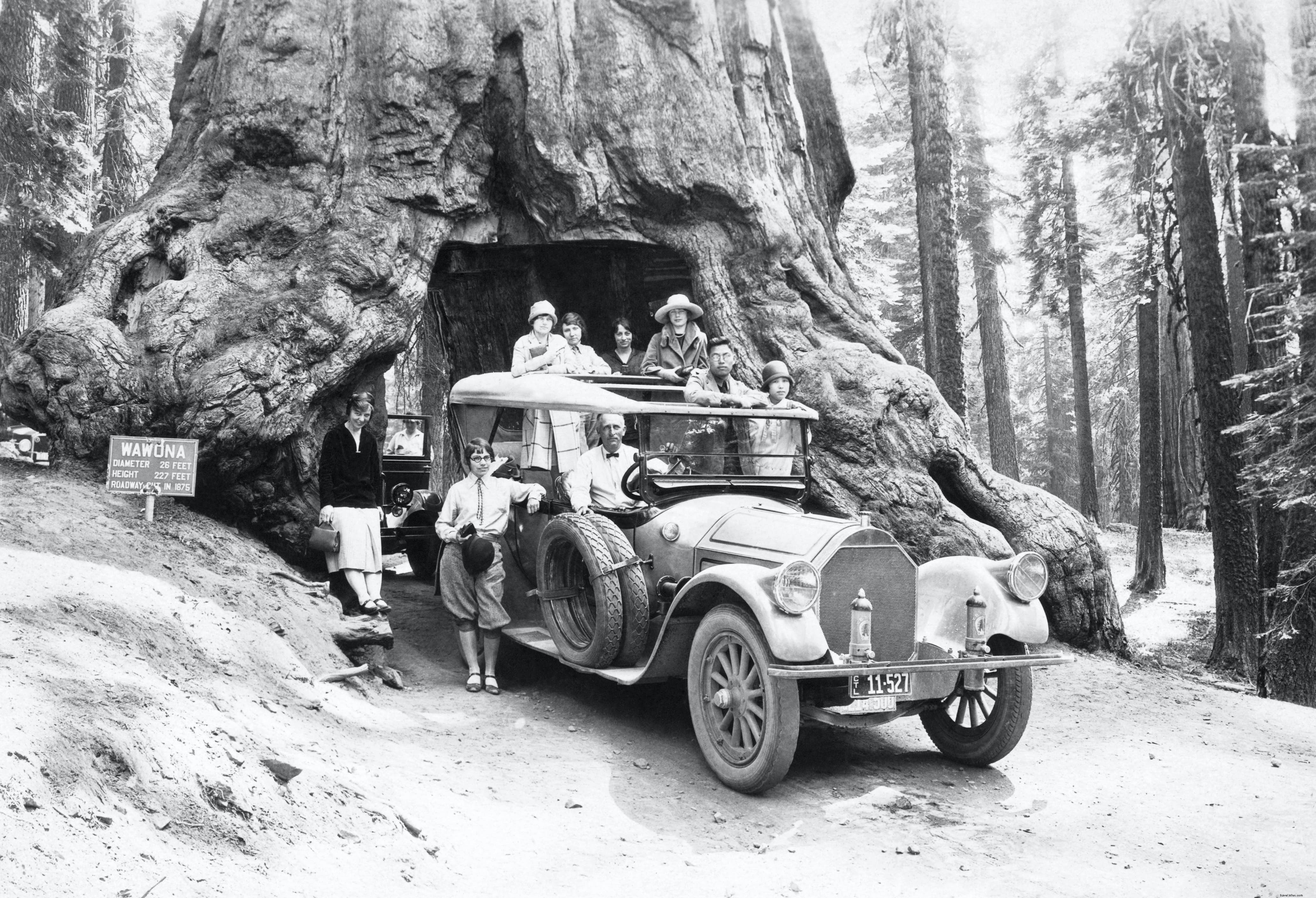 Parc national de Yosemite