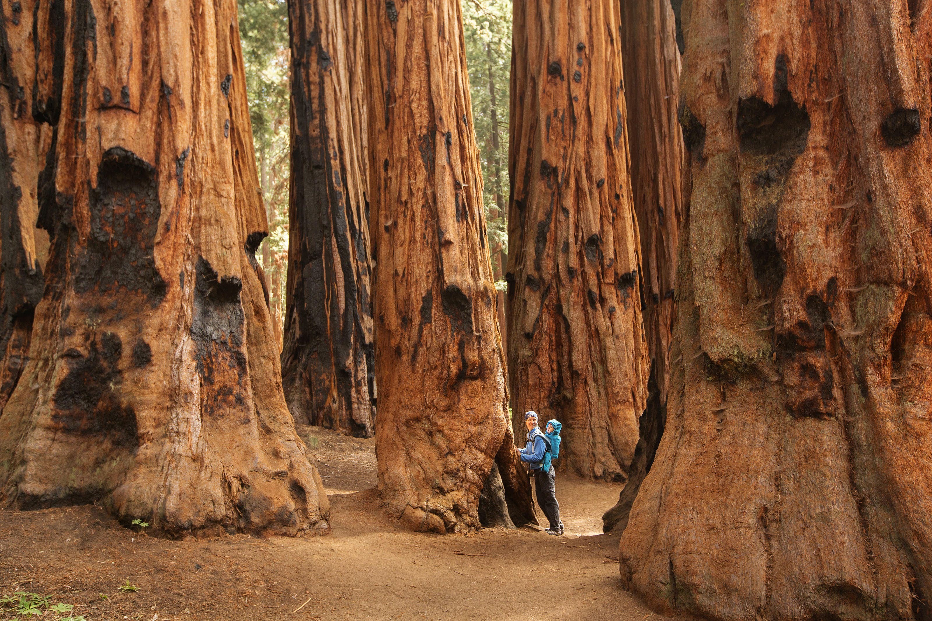 Parc national de Yosemite