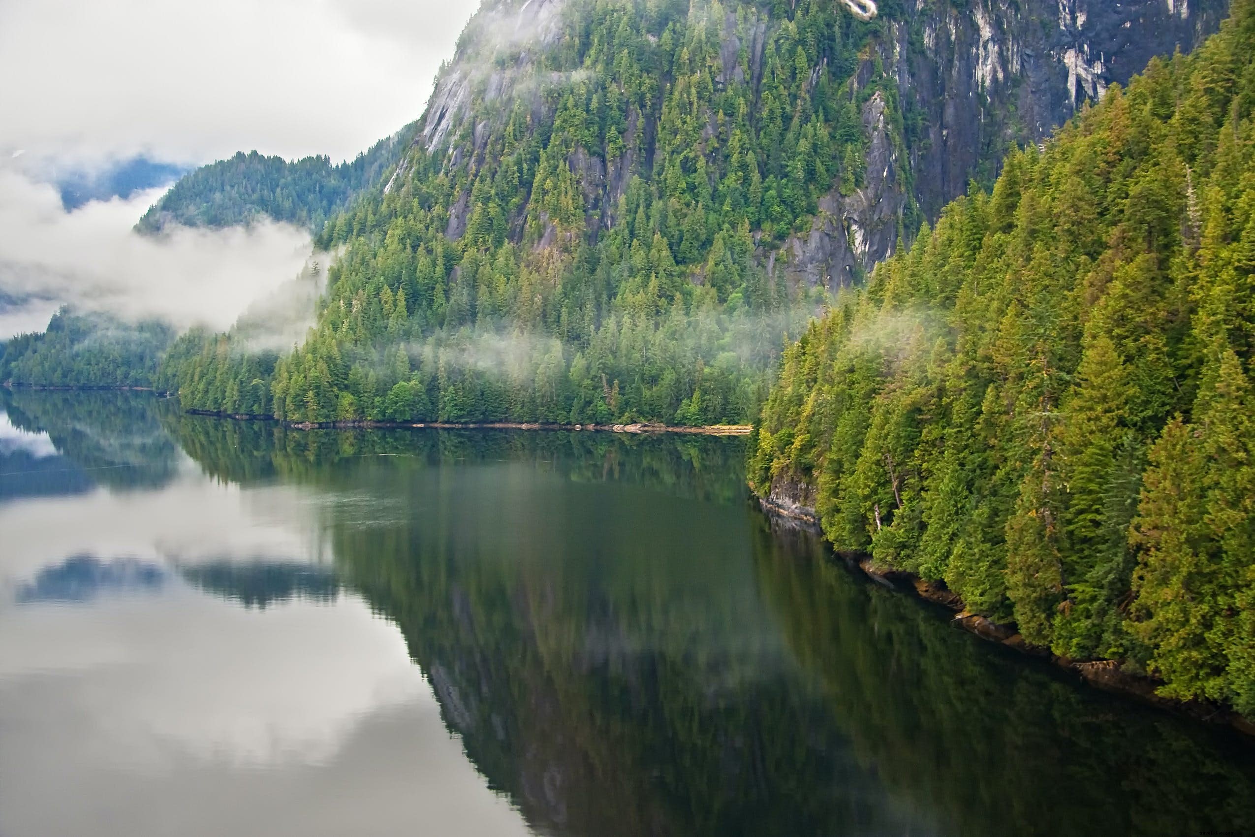Forêt nationale de Tongass – Le plus grand espace forestier des États‑Unis