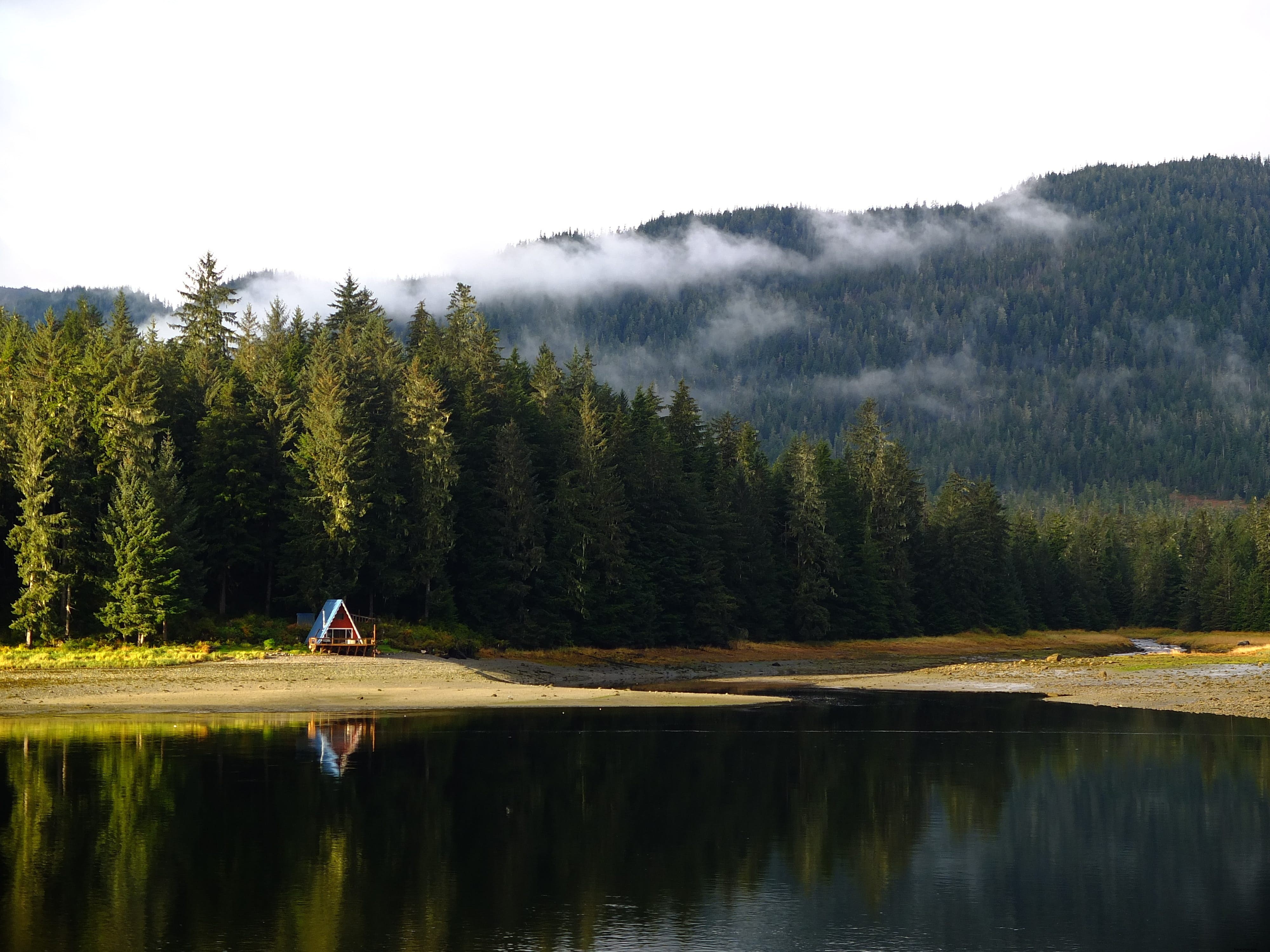 Forêt nationale de Tongass – Le plus grand espace forestier des États‑Unis