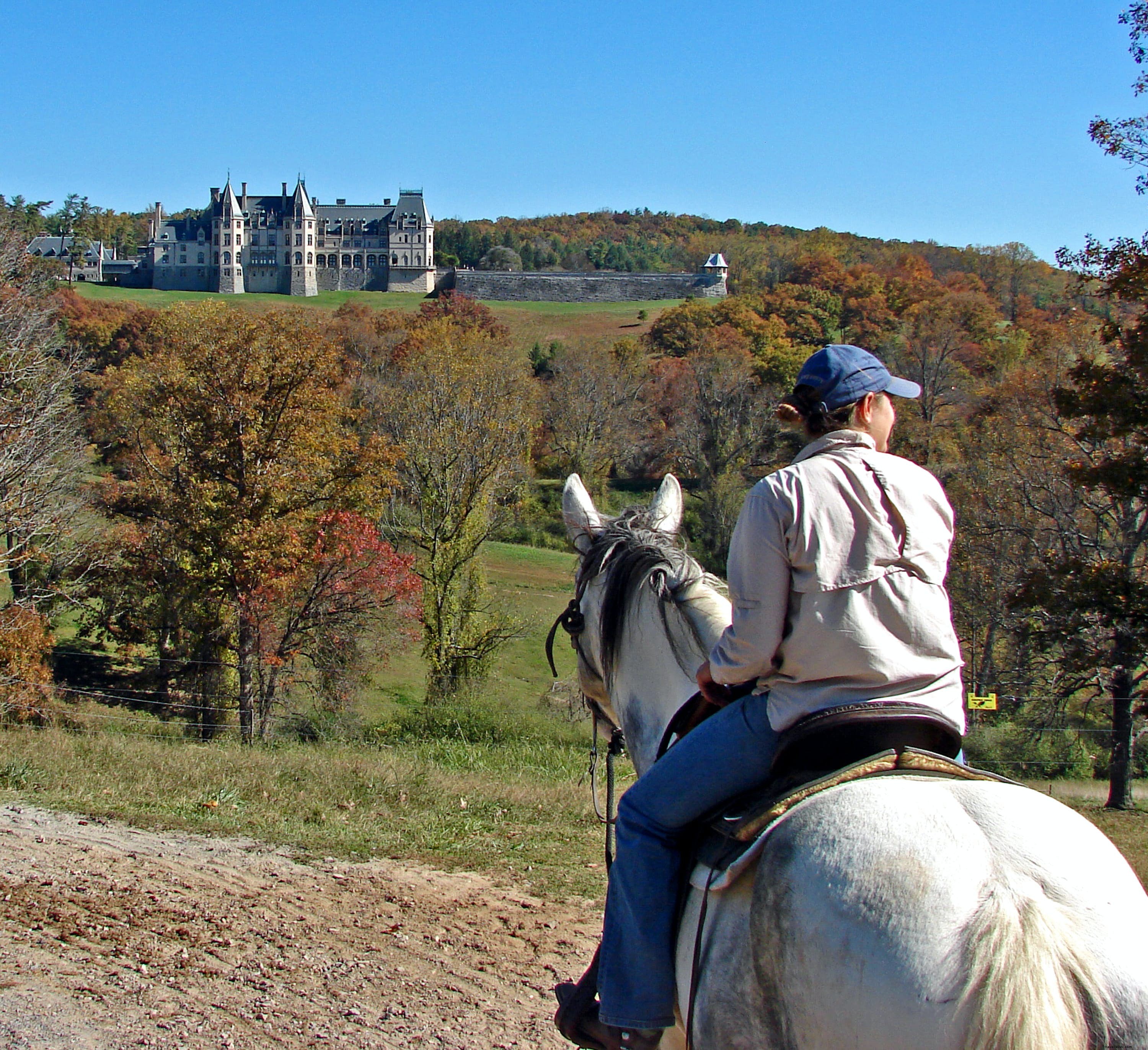 Le Domaine Biltmore