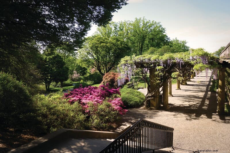 Le Domaine Biltmore