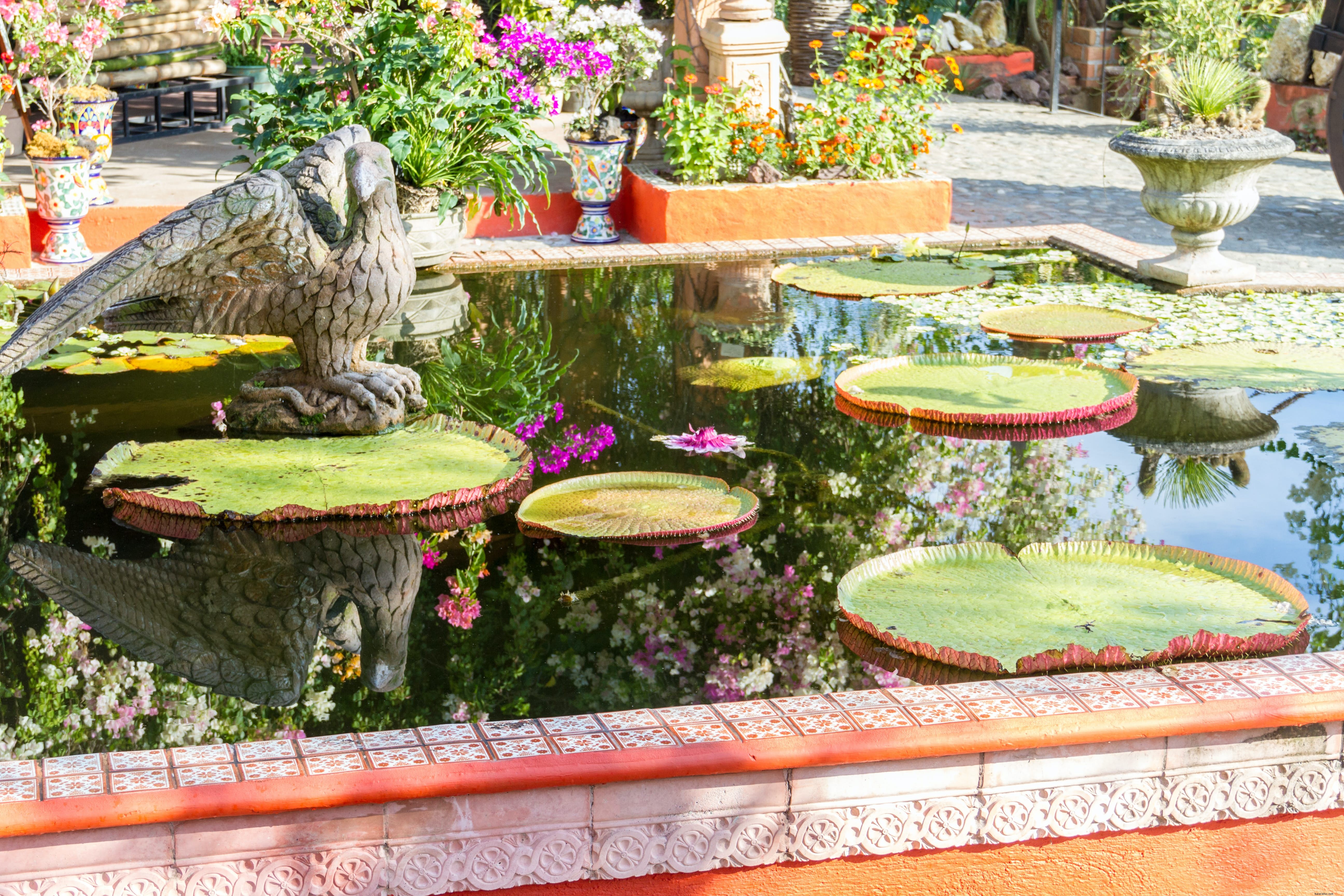 Jardin botanique de Vallarta