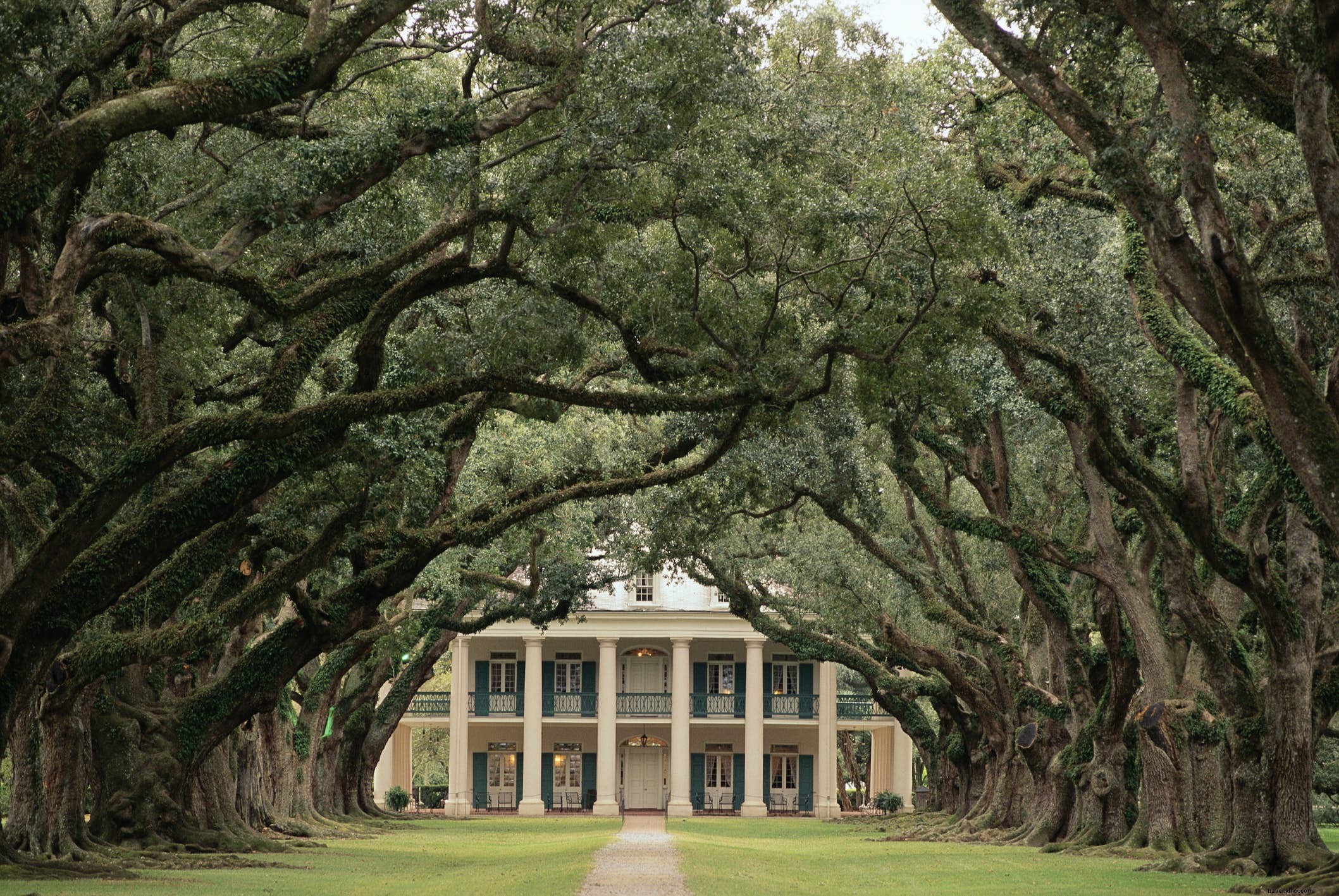 Plantation Oak Alley