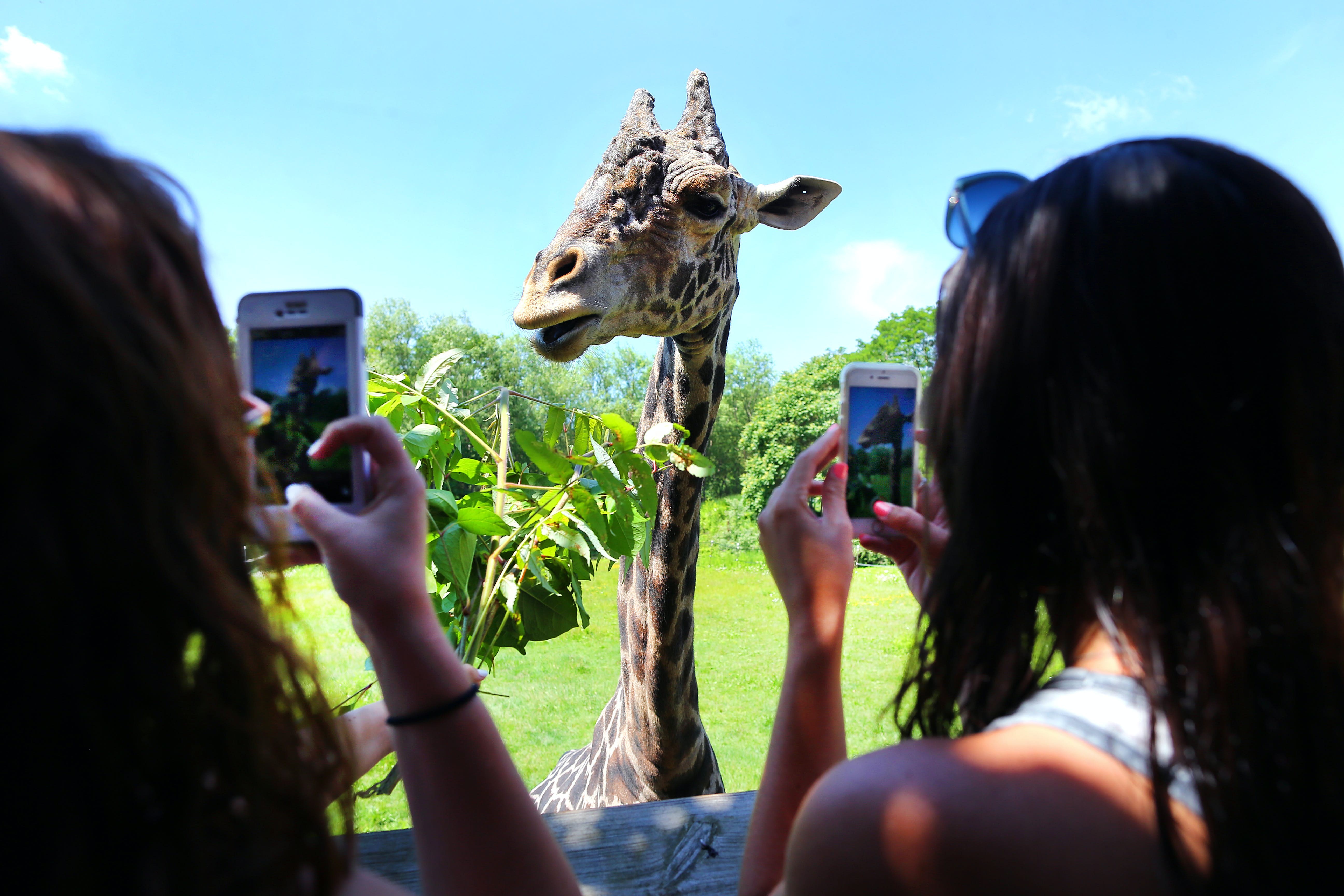 Zoo du parc Franklin