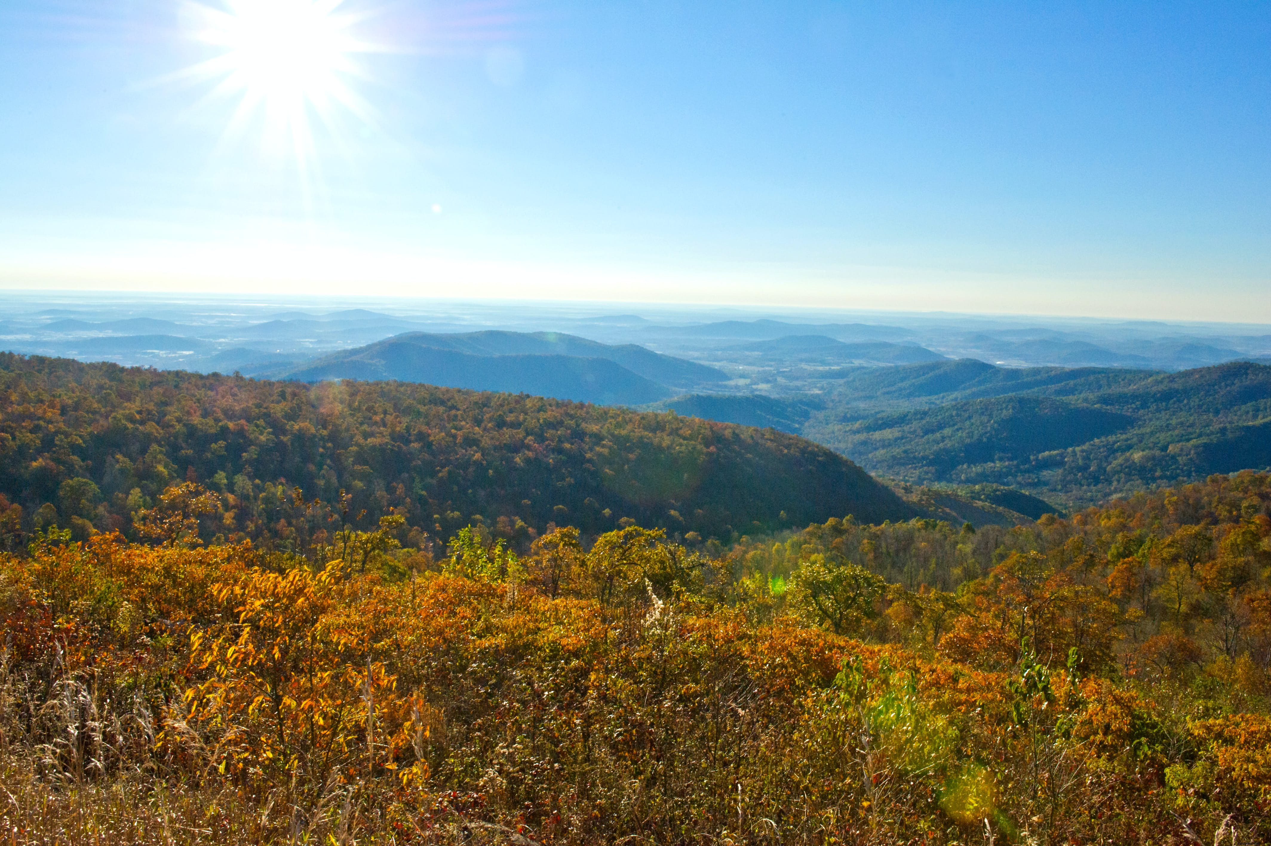 Parc national de Shenandoah, Virginie