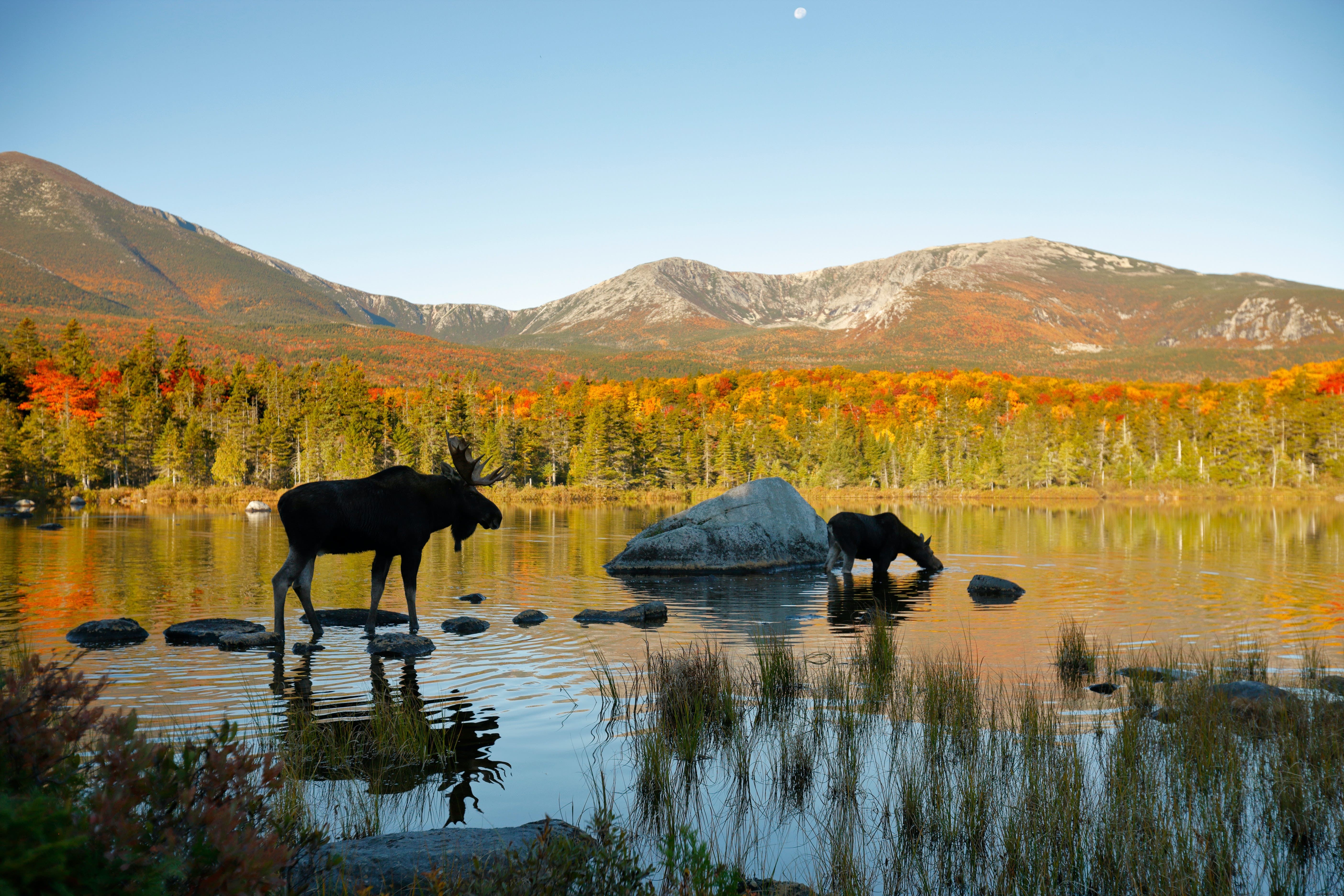 Parc d État de Baxter, Maine