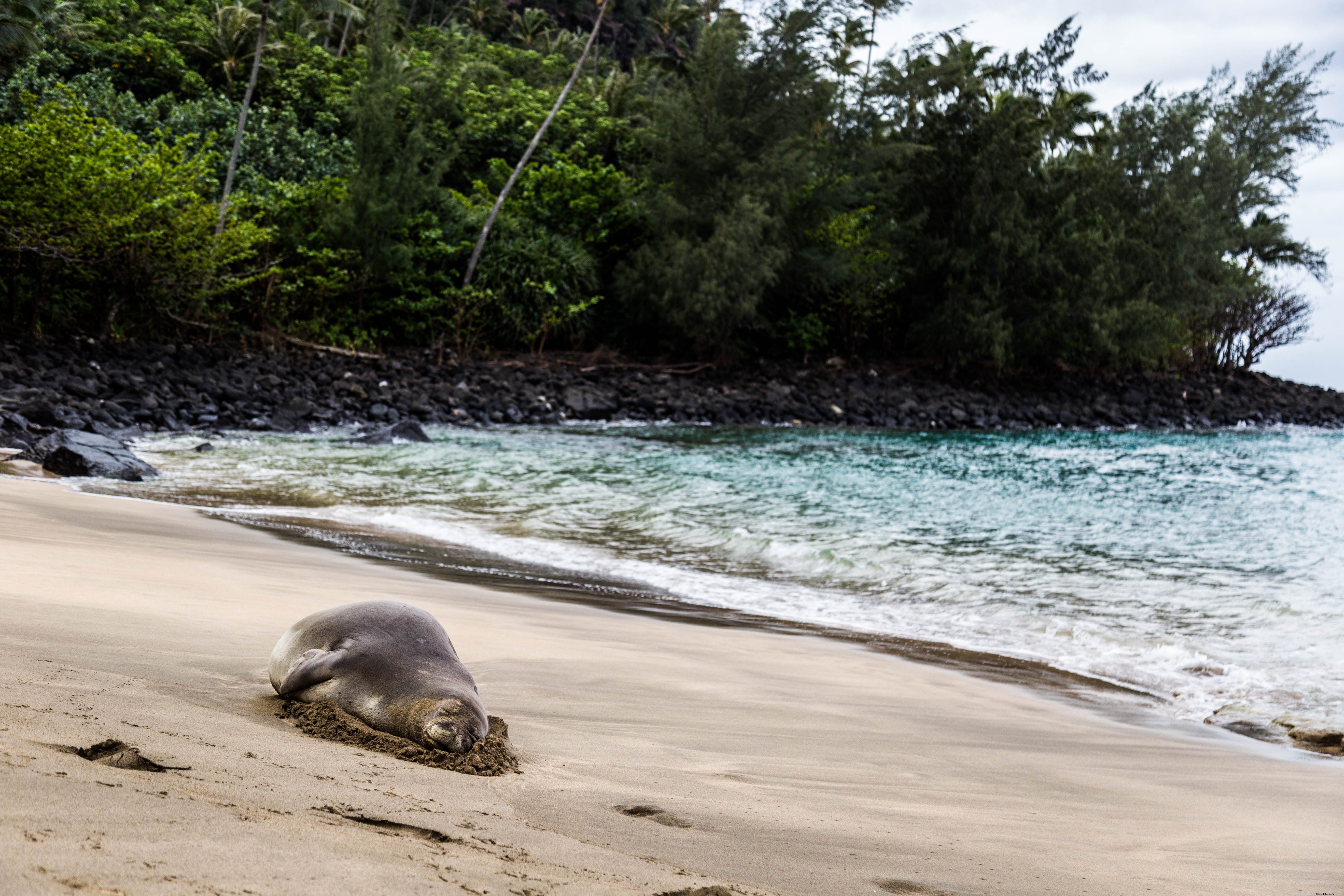 Plage de Ke e – Une des plus belles plages du littoral nord de Kauai