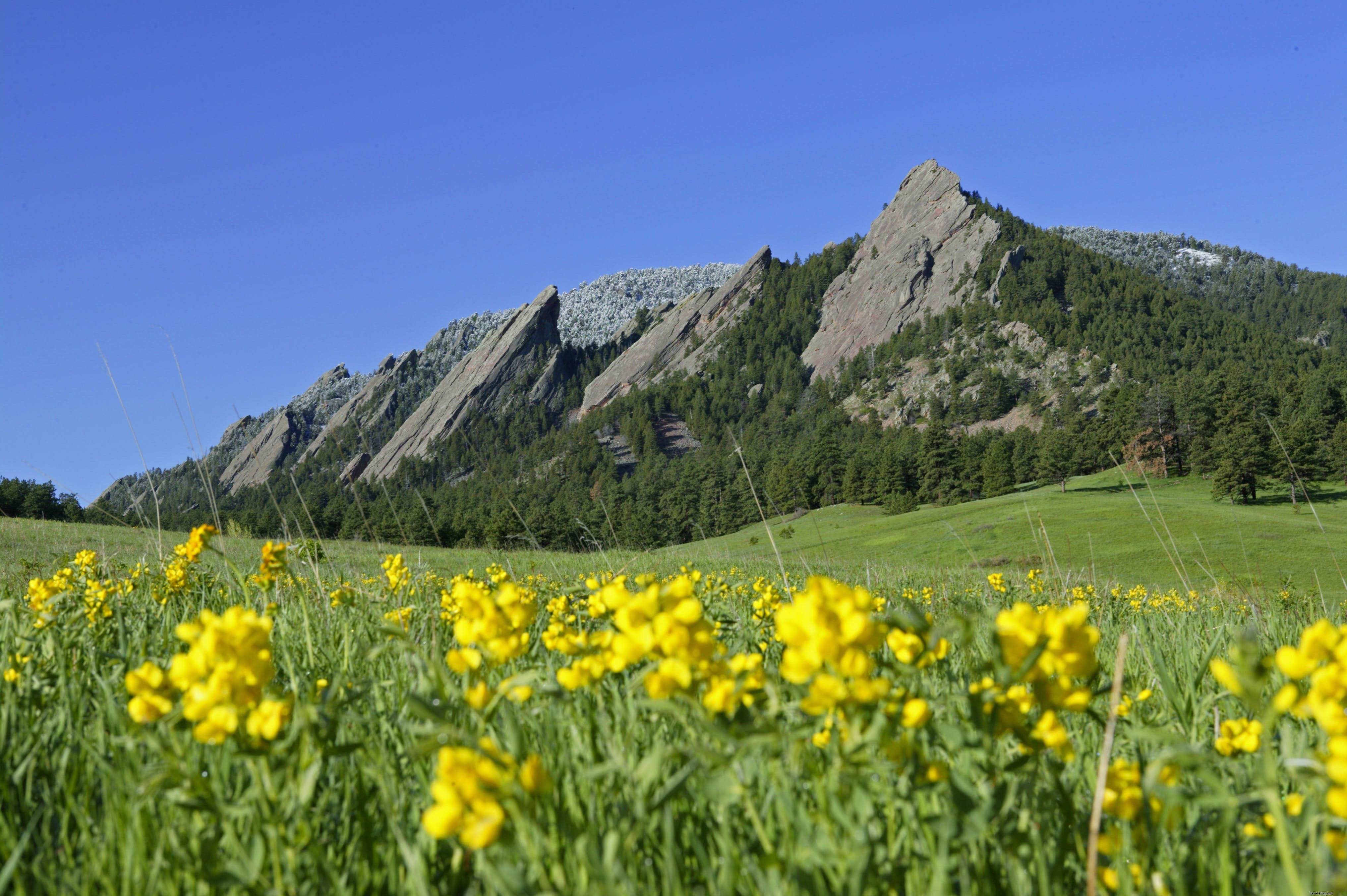 Parc Chautauqua