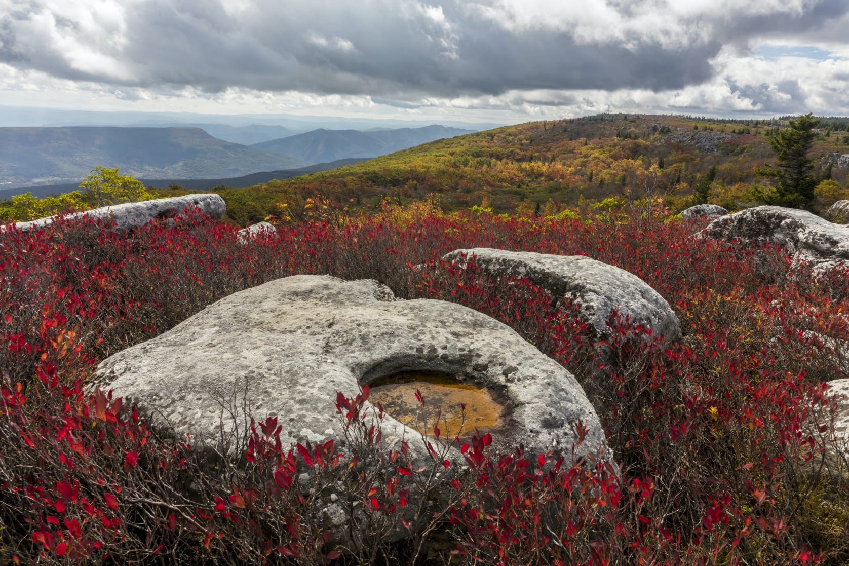 Le désert de Dolly Sods
