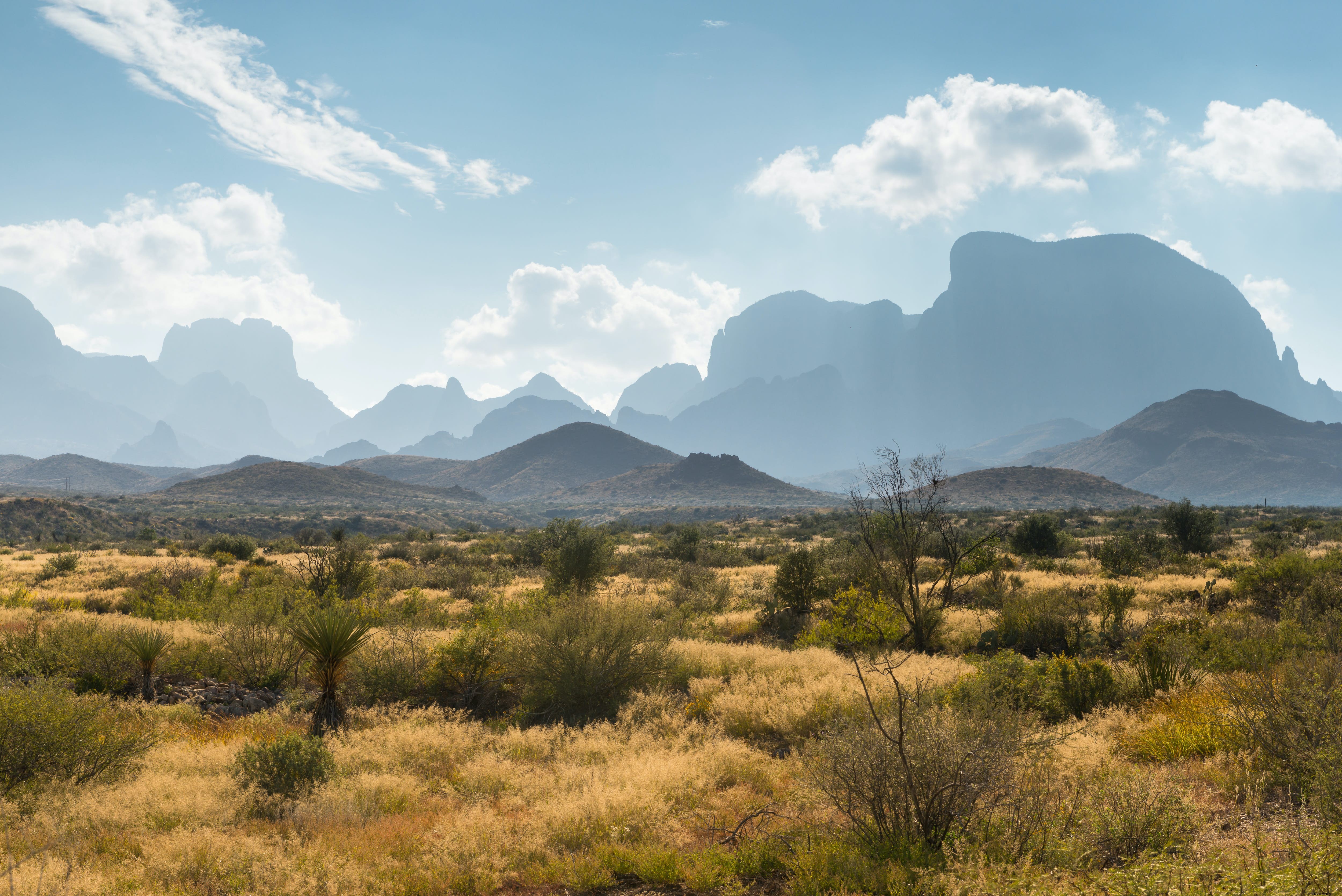 Parc national de Big Bend (Texas)