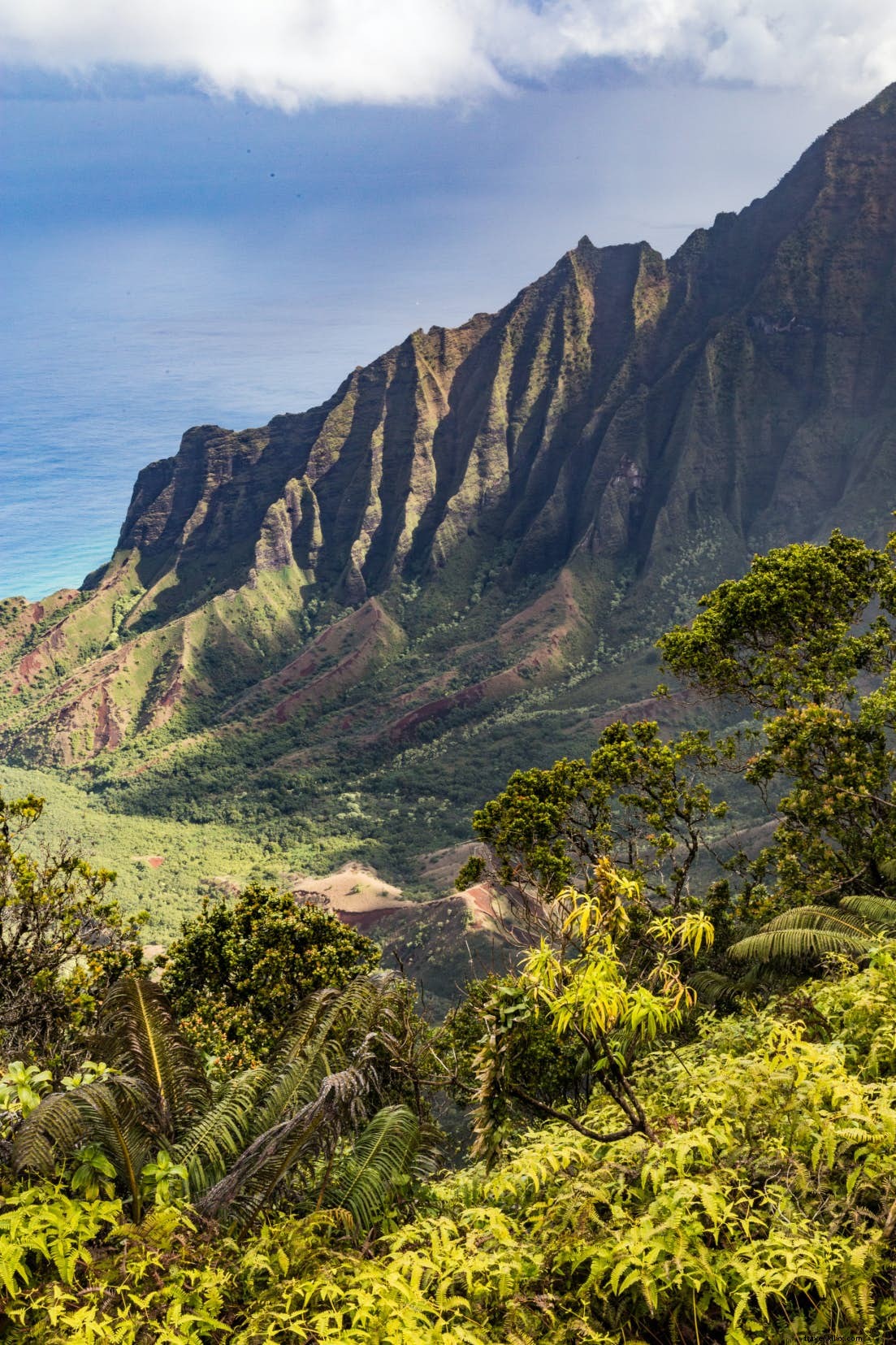 Parc d État sauvage de la côte Na Pali
