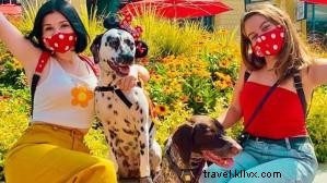 Manger à l extérieur à Anaheim : guide des meilleurs spots pour le « Eat Outside Day »