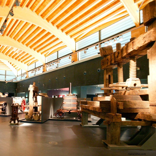 Expériences inoubliables autour du vin à La Rioja