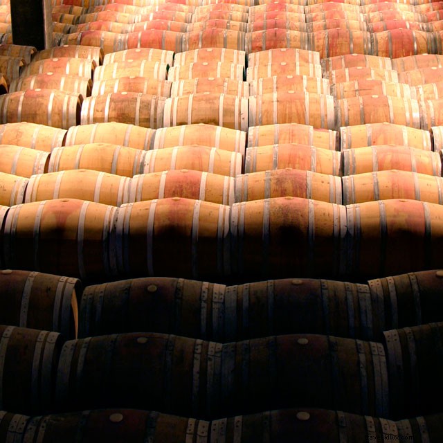 Expériences inoubliables autour du vin à La Rioja