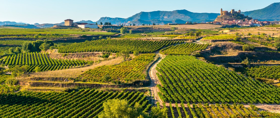 Explorez les vins espagnols en visitant leurs régions d origine