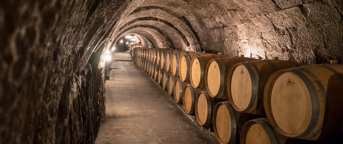 Explorez les vins espagnols en visitant leurs régions d origine