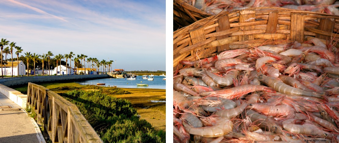 Cinq destinations côtières en Espagne pour savourer la cuisine locale