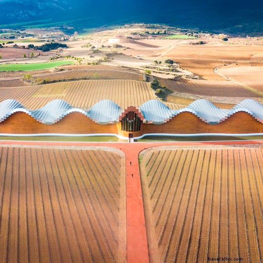 L Espagne, le pays qui possède le plus de vignobles au monde