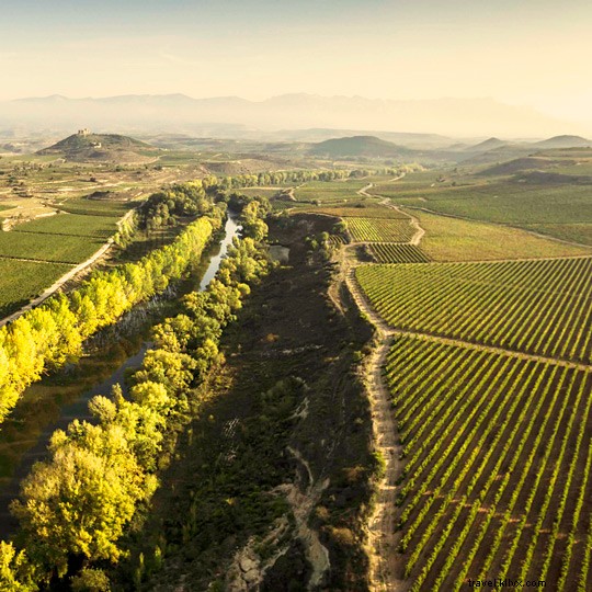 L Espagne, le pays qui possède le plus de vignobles au monde