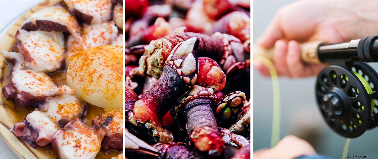 Expériences culinaires incontournables en Galice