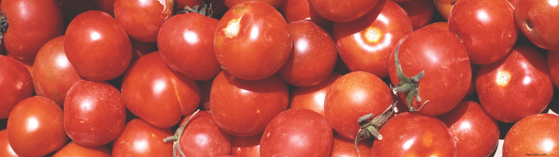 Guide de la nourriture bio et du vin à Ibiza