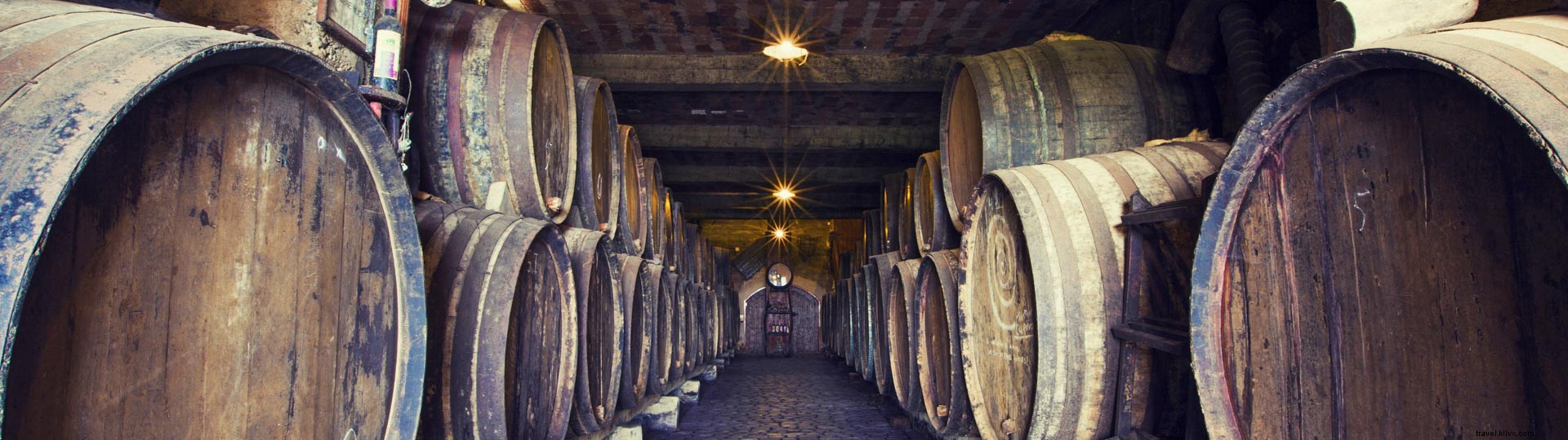 Les vins de Tenerife : le goût qui a conquis Shakespeare