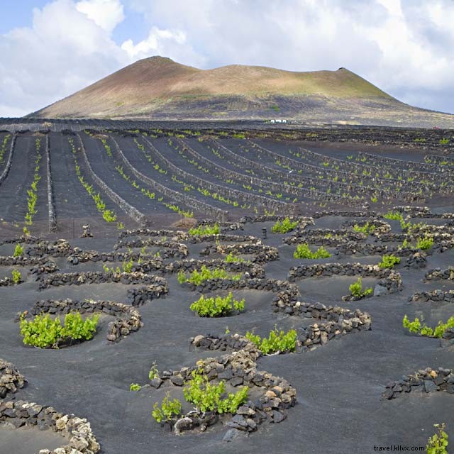 Vignobles au cœur des volcans