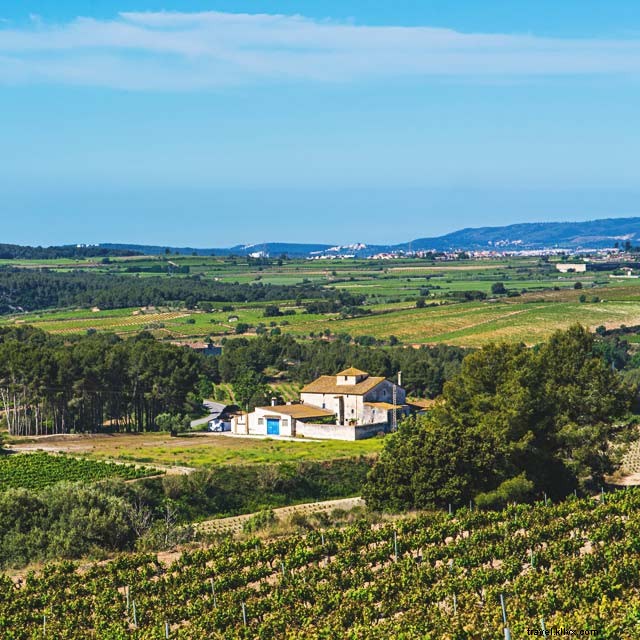 Vins à Barcelone et ses environs