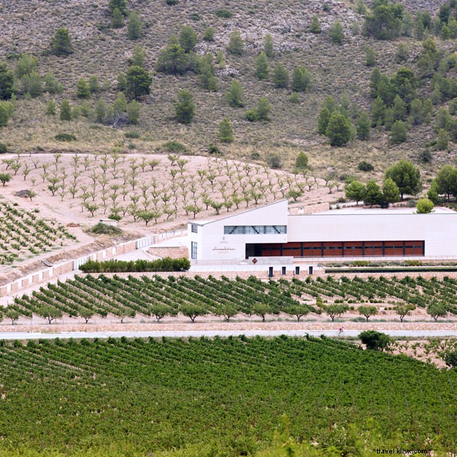 Dégustation de vins dans les caves de la Costa Blanca : un voyage œnologique