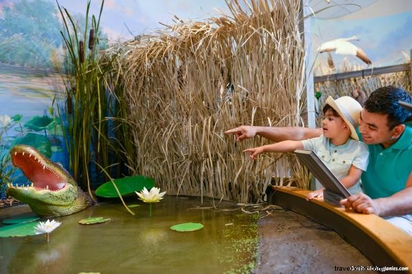 Les activités estivales incontournables pour les enfants