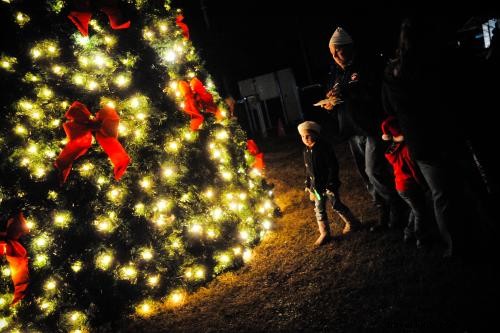 Le Père Noël sous les chênes – Une célébration de Noël magique !