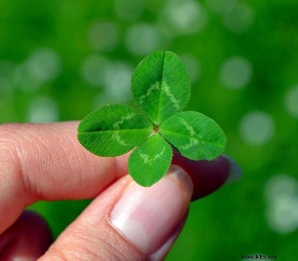 Lake Charles en fête : résumé des événements de la Saint‑Patrick