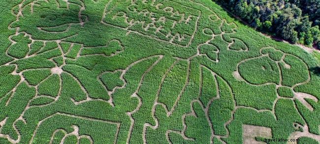 Halloween en famille dans le Sud‑Ouest de la Louisiane : activités pour enfants et adultes