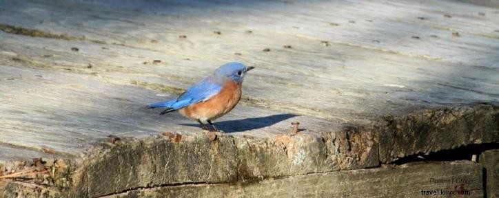 Top 10 des questions sur le Sentier Nature Créole