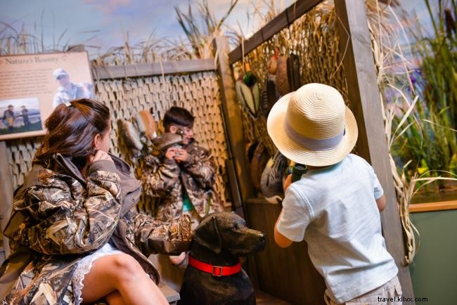 Les meilleures activités en plein air dans le sud-ouest de la Louisiane