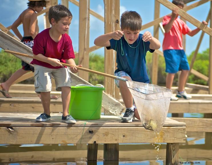 Comment pêcher le crabe bleu dans le sud‑ouest de la Louisiane
