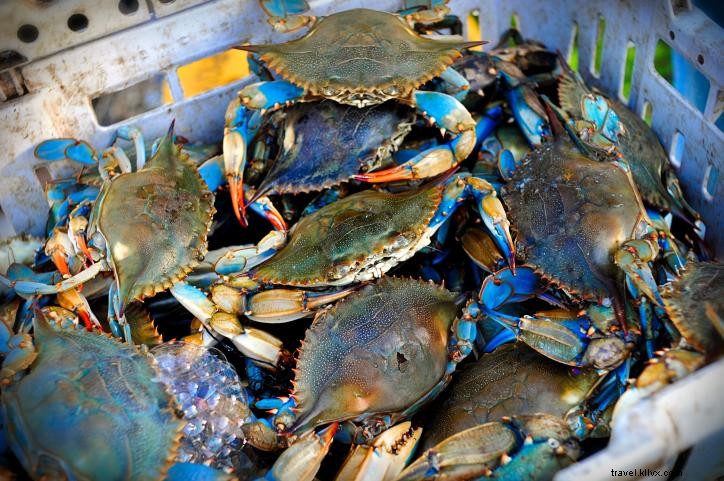 Comment pêcher le crabe bleu dans le sud‑ouest de la Louisiane