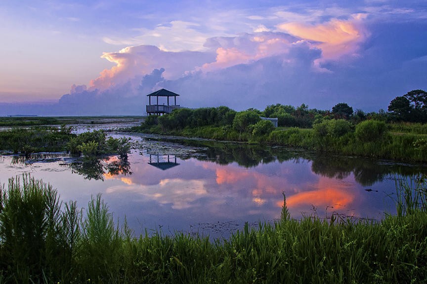Le sud‑ouest de la Louisiane : la destination idéale des familles pour les vacances de printemps